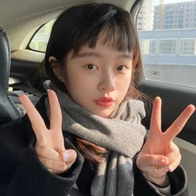 双生赤狐